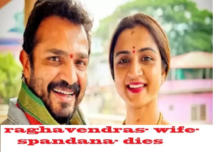 Vijay Raghavendra Wife dies