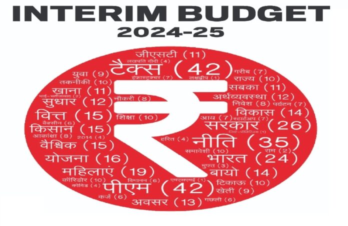 interim budget in an election year