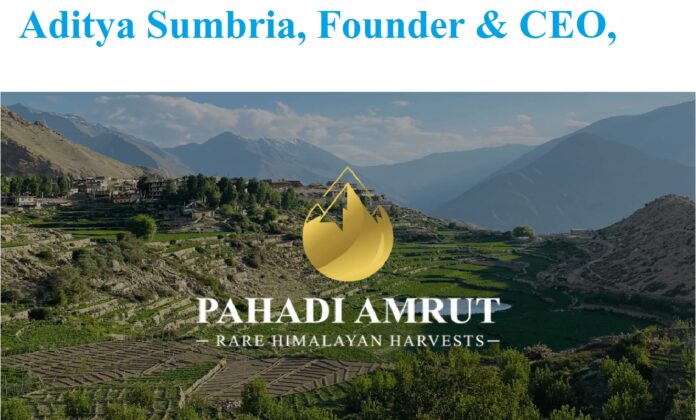 Aditya Sumbria, Founder & CEO, Pahadi Amrut