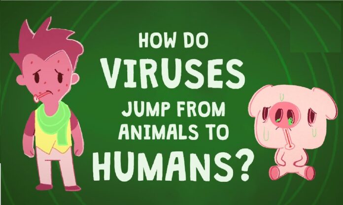 Why viruses are jumping from animals to humans