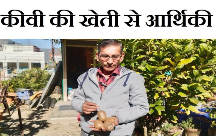 Sukhdev Pant, kiwi farmer