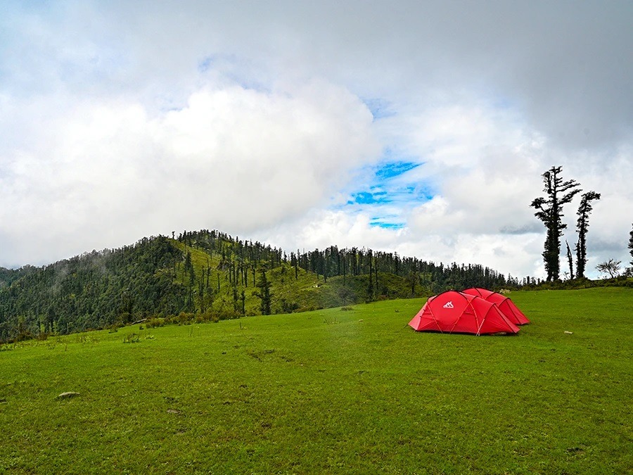 दूधातोली: बांज के घने जंगलों और मखमली बुग्यालों के बीच एक अनछुआ स्थान dudhatoli bugyal