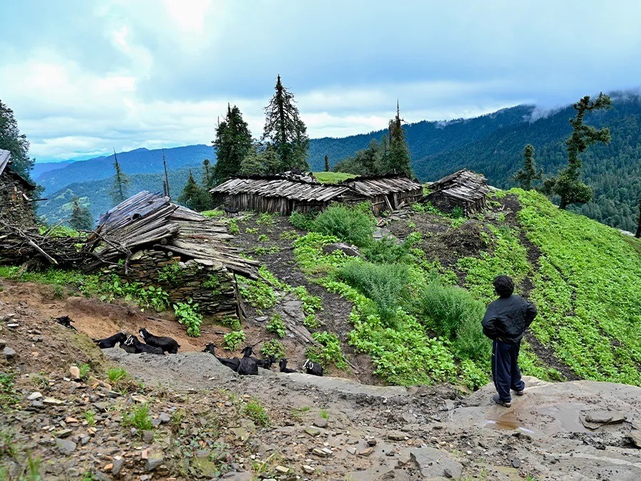 दूधातोली: बांज के घने जंगलों और मखमली बुग्यालों के बीच एक अनछुआ स्थान kharak